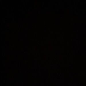 Meet your Posher, Benito